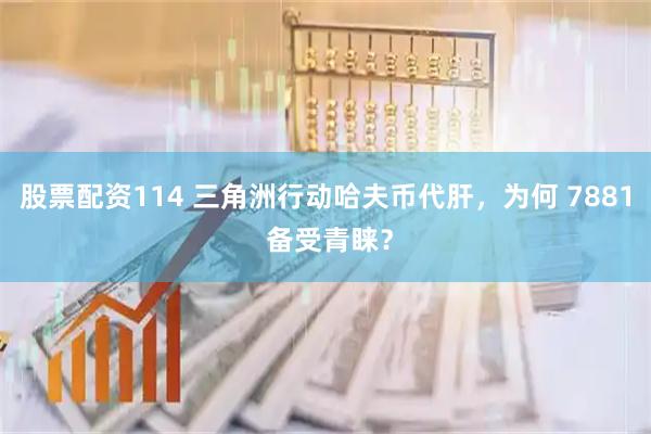 股票配资114 三角洲行动哈夫币代肝，为何 7881 备受青睐？