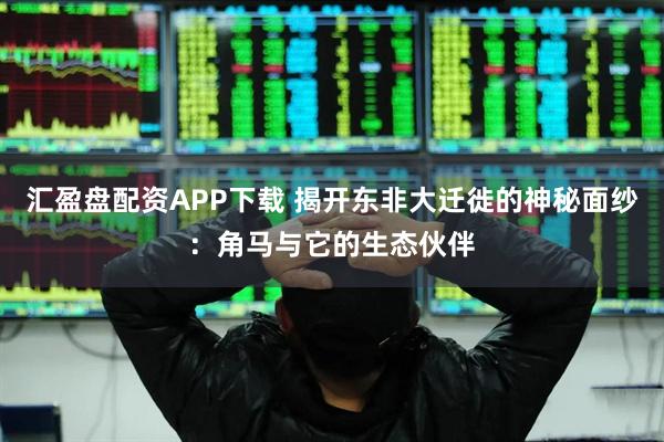 汇盈盘配资APP下载 揭开东非大迁徙的神秘面纱：角马与它的生态伙伴