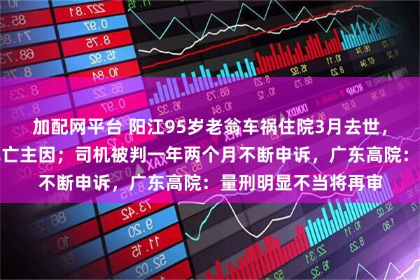 加配网平台 阳江95岁老翁车祸住院3月去世,鉴定称自身因素系死亡主因;司机被判一年两个月不断申诉,广东高院:量刑明显不当将再审