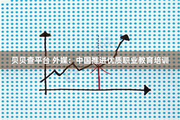 贝贝查平台 外媒:中国推进优质职业教育培训