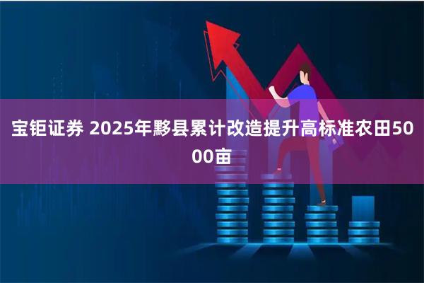 宝钜证券 2025年黟县累计改造提升高标准农田5000亩